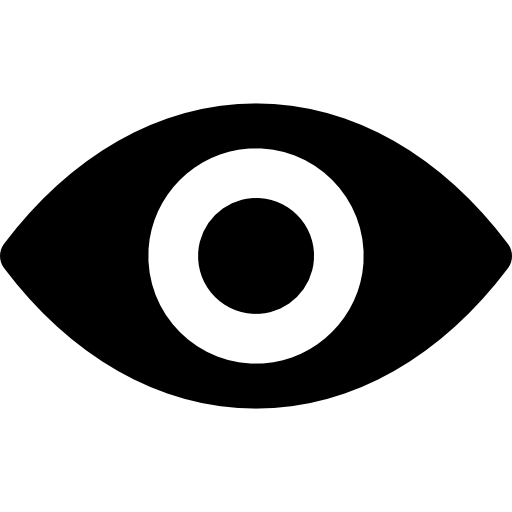Vision Icon